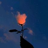 星空下的赶路人头像