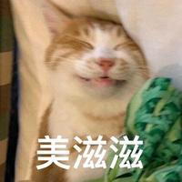 朴实熊猫giao头像