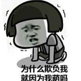 正在输入18868头像