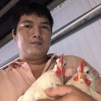 吟子游子吟头像