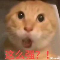神射手熊二头像