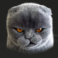 難得人間清醒头像