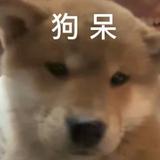 佐郑喜头像