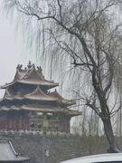 兔子零1024的个人资料头像