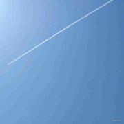 馅趋于0包子等于馒头的个人资料头像