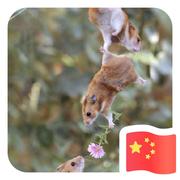 用户6100866953885的个人资料头像