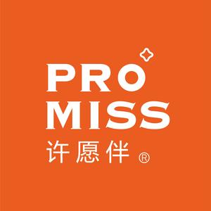 PROMISS许愿伴头像