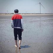 gu655的个人资料头像