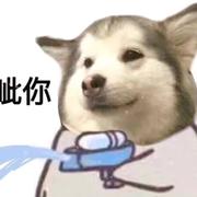 会编程的王学长的个人资料头像