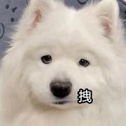 jue777的个人资料头像