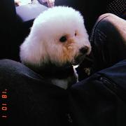 吴侃36的个人资料头像