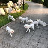 到哪都是王子头像