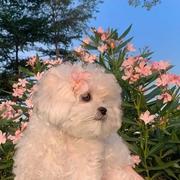 小顾875的个人资料头像