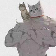 过气的开发的个人资料头像