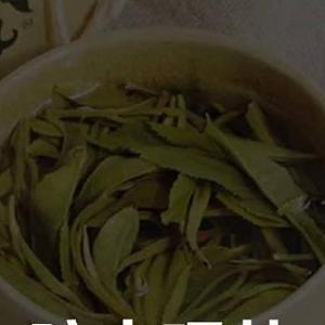 暗中灌茶头像