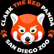 奔跑的妮西的个人资料头像