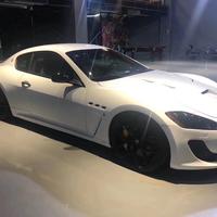 才高八斗百灵鸟TME头像