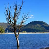 一只生蚝阿头像