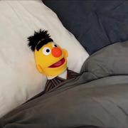 tututu的个人资料头像