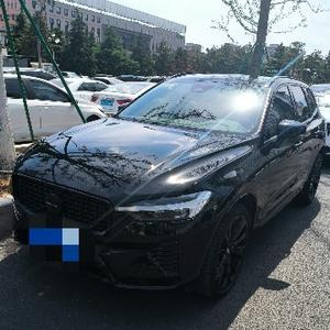 Толстый кролик PTZ
