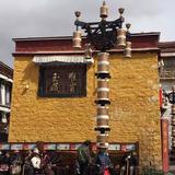 樂275682686头像
