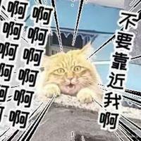 橙汁柠檬要加冰头像