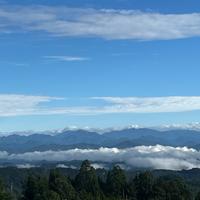 淡定青山mCI头像