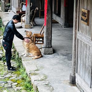 小林带你进大山头像