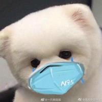 少爷动画头像