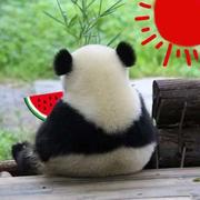 GYB的个人资料头像