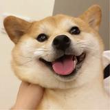 开朗大方聪慧梦想家q头像