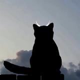 陈某人qbq头像