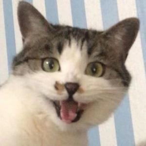 古德茂宁头像