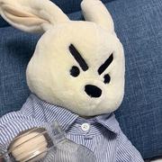 驰网科技毛毛的个人资料头像