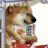 奋发小雨点头像