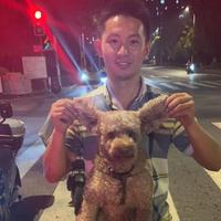 洒脱豆浆28n头像