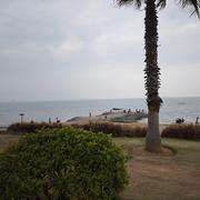 琛瑾的个人资料头像