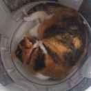 罗克Roc的个人资料头像