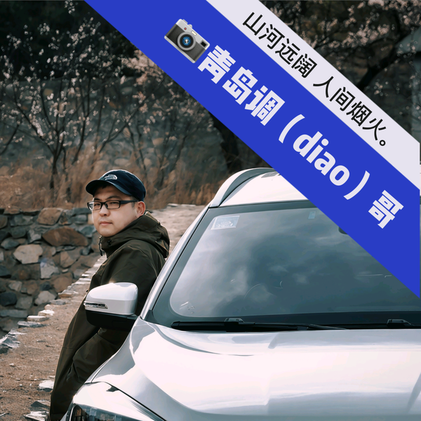 青岛的那个调哥头像