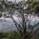 usc3l本尊的个人资料头像