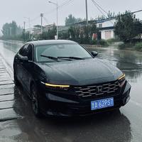 开雅阁的小万头像