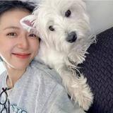 天上的月亮睡不醒头像