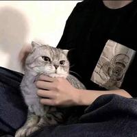 皆是ღ遗憾头像