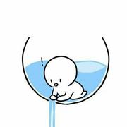 小马睡着了的个人资料头像