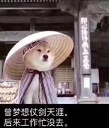 骑自行车去火星的个人资料头像
