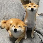 YUMA的个人资料头像