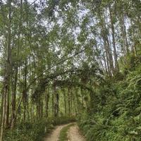 热血传奇鸿仔头像