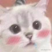 慕容思佳的个人资料头像