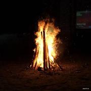 龙眼干子的个人资料头像