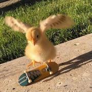 长长的旧日的个人资料头像